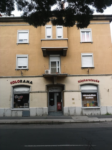 Opinii despre Colorama Képkeretező, Művészkellék bolt és Galéria în Székesfehérvár - Bolt
