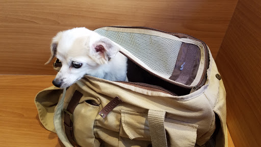 257 W 18th St, New York, NY 10011, USA