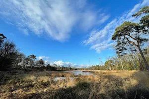 Veenplas image