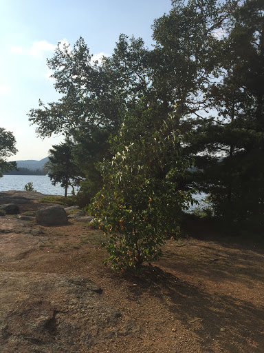 Nature Preserve «Blue Mountain Lake», reviews and photos, 8897 NY-30, Blue Mountain Lake, NY 12812, USA