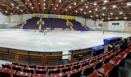 Зимен дворец на спорта