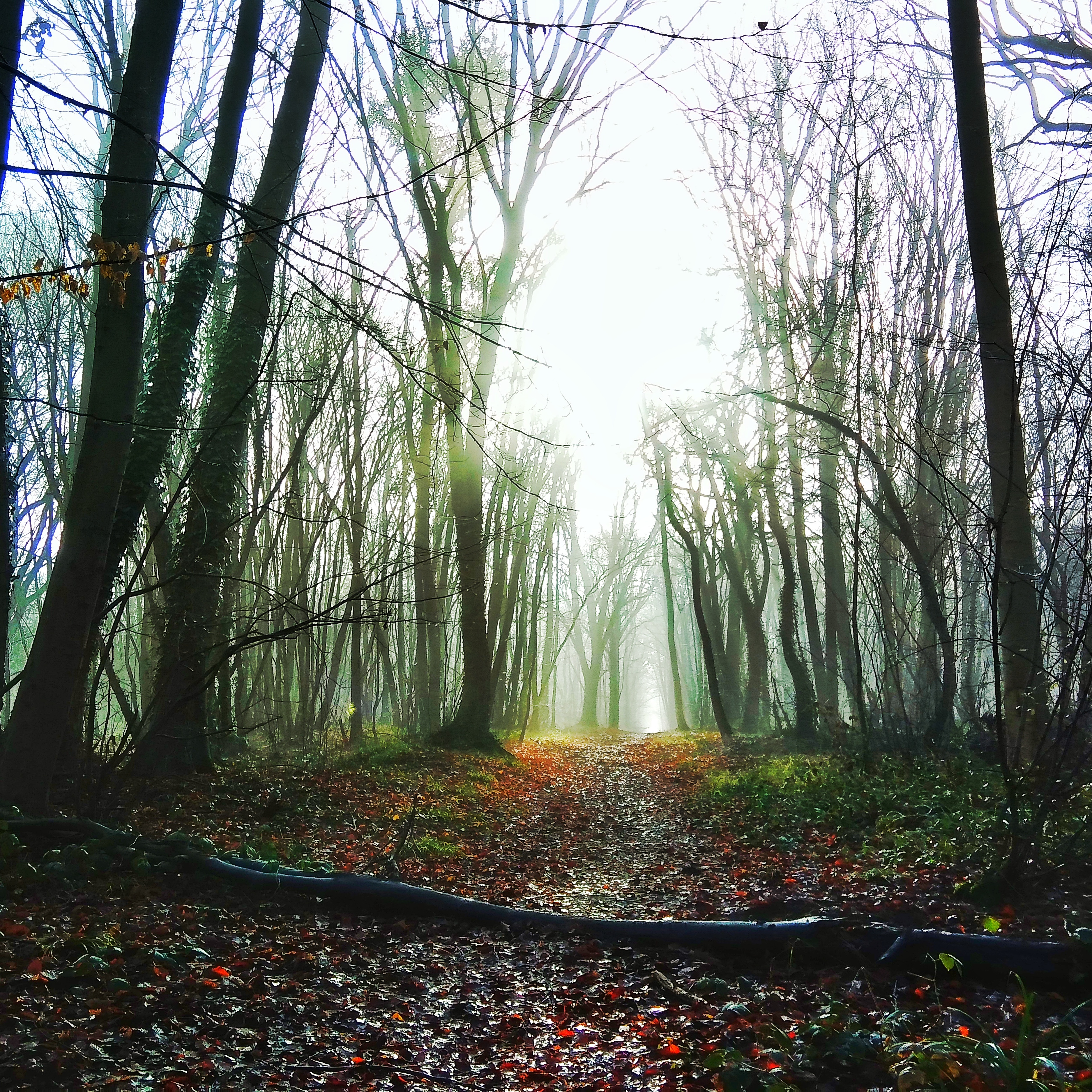 Photo n° 1 de l'avis de Ben.a fait le 19/12/2017 à 18:40
