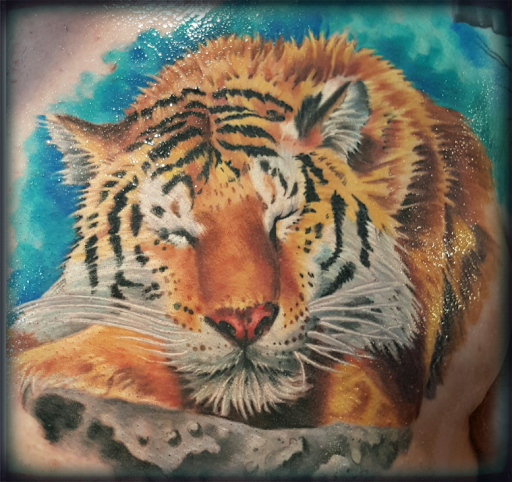 Tattoo Shop «Hot Rod Alley Tattoo», reviews and photos, 1051 Water St, Santa Cruz, CA 95062, USA