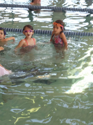 Community Center «Michael-Ann Russell Jewish Community Center», reviews and photos, 18900 NE 25th Ave, Miami, FL 33180, USA