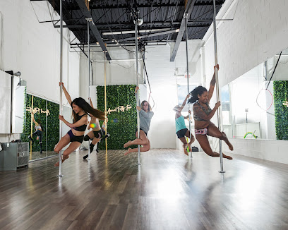 Aerial Fifty Two Pole Dancing Studio