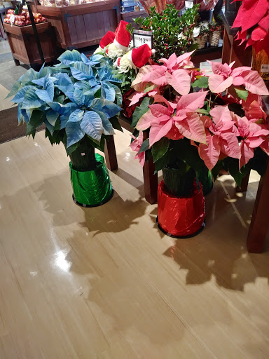 Supermarket «Big Y», reviews and photos, 441 N Main St, East Longmeadow, MA 01028, USA