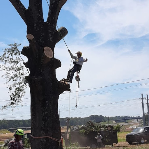 Hardware Store «Harbor Freight Tools», reviews and photos, 2000 Avondale Dr STE 104, Durham, NC 27704, USA