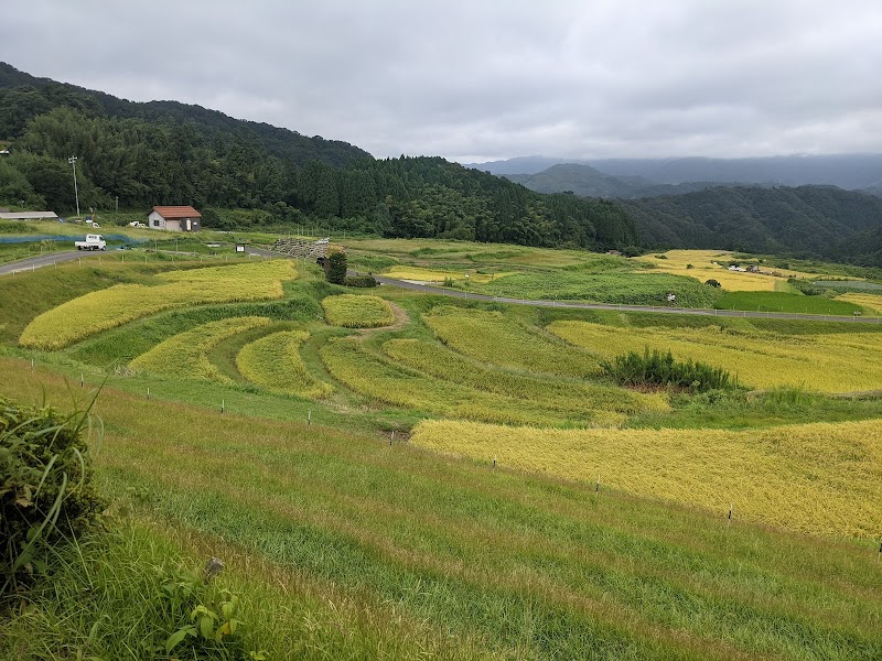 山王寺の棚田