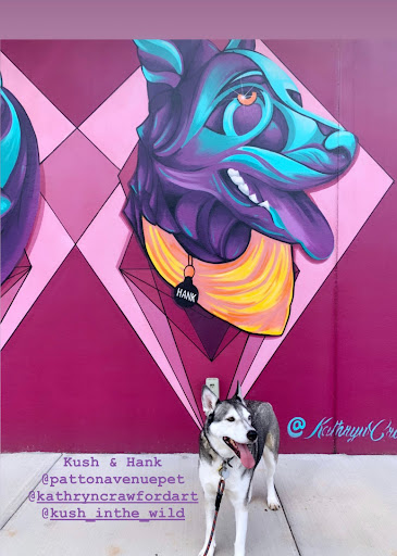 Pet Supply Store «Patton Avenue Pet Company- West», reviews and photos, 1388 Patton Ave, Asheville, NC 28806, USA