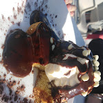 Photo n°3 de l'avis de Giuseppe.t fait le 05/01/2020 à 16:59 sur le  Titanic à Plaia Grande