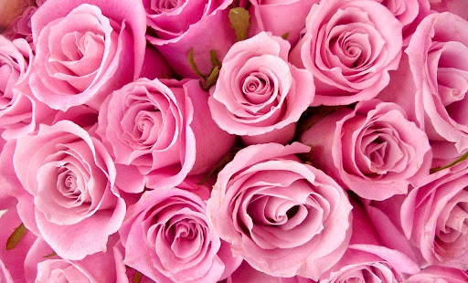 Florist «Wildflowers With Tami», reviews and photos, 46 Sparta Ave, Newton, NJ 07860, USA