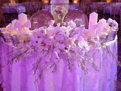 Plant Nursery «A & S Whitestone Nursery», reviews and photos, 2302 Francis Lewis Blvd, Whitestone, NY 11357, USA