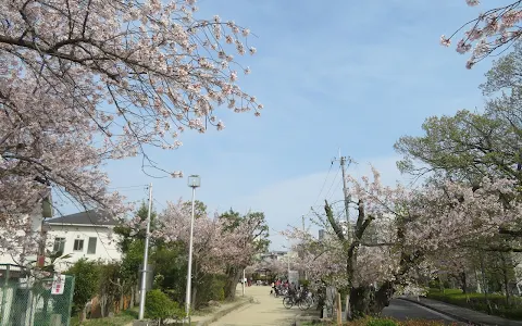 Sakura Park image