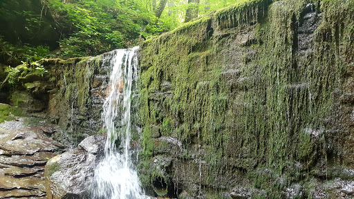 Park «Cave River Valley Park», reviews and photos, 6031-6871 N Cave River Valley Rd, Campbellsburg, IN 47108, USA