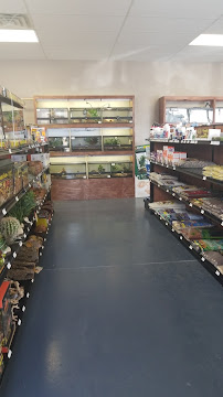 Beasties...A pet store and more!!! - Photo 3 - Car repair in Pueblo, CO, Pueblo