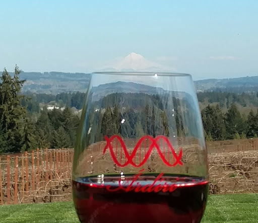Winery «Ardiri Winery & Vineyards», reviews and photos, 35040 Southwest Unger Road, Cornelius, OR 97113, USA
