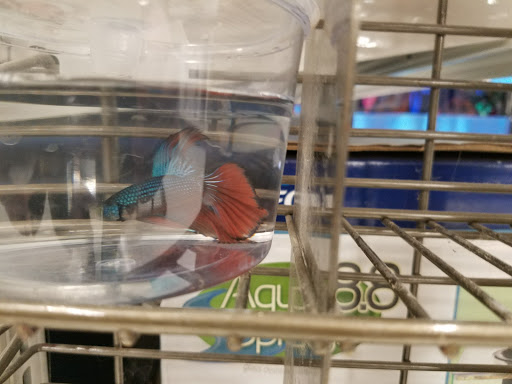 Pet Supply Store «Petco Animal Supplies», reviews and photos, 710 W 66th St, Richfield, MN 55423, USA