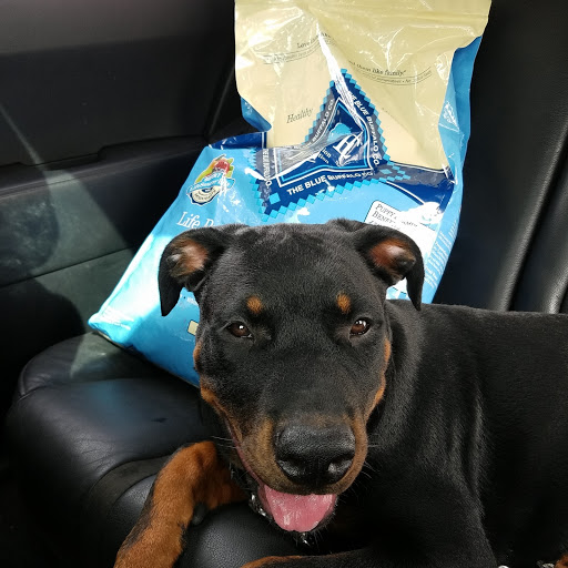 Pet Supply Store «PetSmart», reviews and photos, 250 Grossman Dr, Braintree, MA 02184, USA