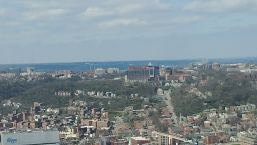 Souvenir Store «I Love Cincinnati Shop», reviews and photos, 441 Vine St, Cincinnati, OH 45202, USA