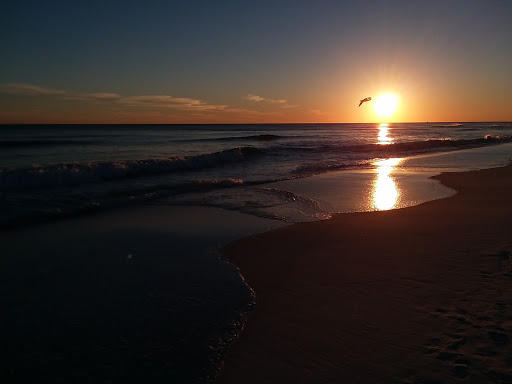 Tourist Attraction «Beach Sand Sculptures», reviews and photos, 15000 Emerald Coast Pkwy, Destin, FL 32541, USA