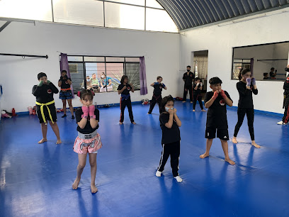 Kickboxing Blackbelt Oaxaca
