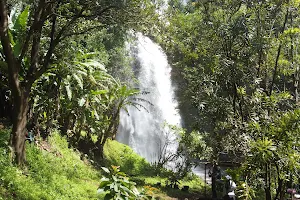 Njine Kabia Falls image