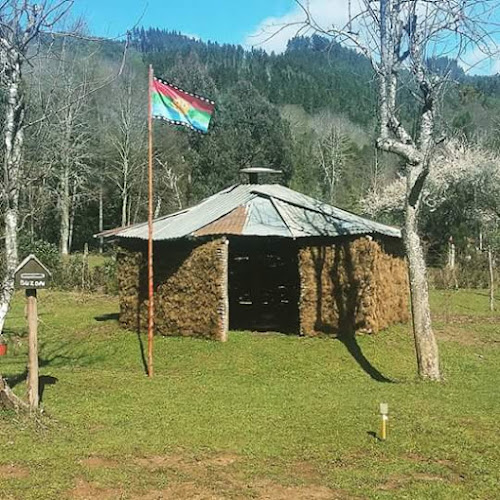 Camping Pangui - Valdivia