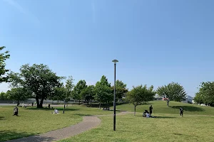 Sakuragaoka Park image