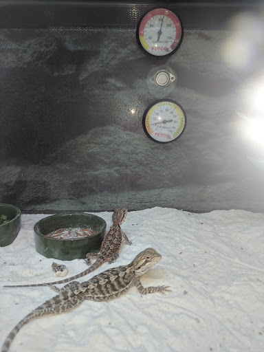 Pet Supply Store «Petco Animal Supplies», reviews and photos, 1520 Military Rd #130, Niagara Falls, NY 14304, USA