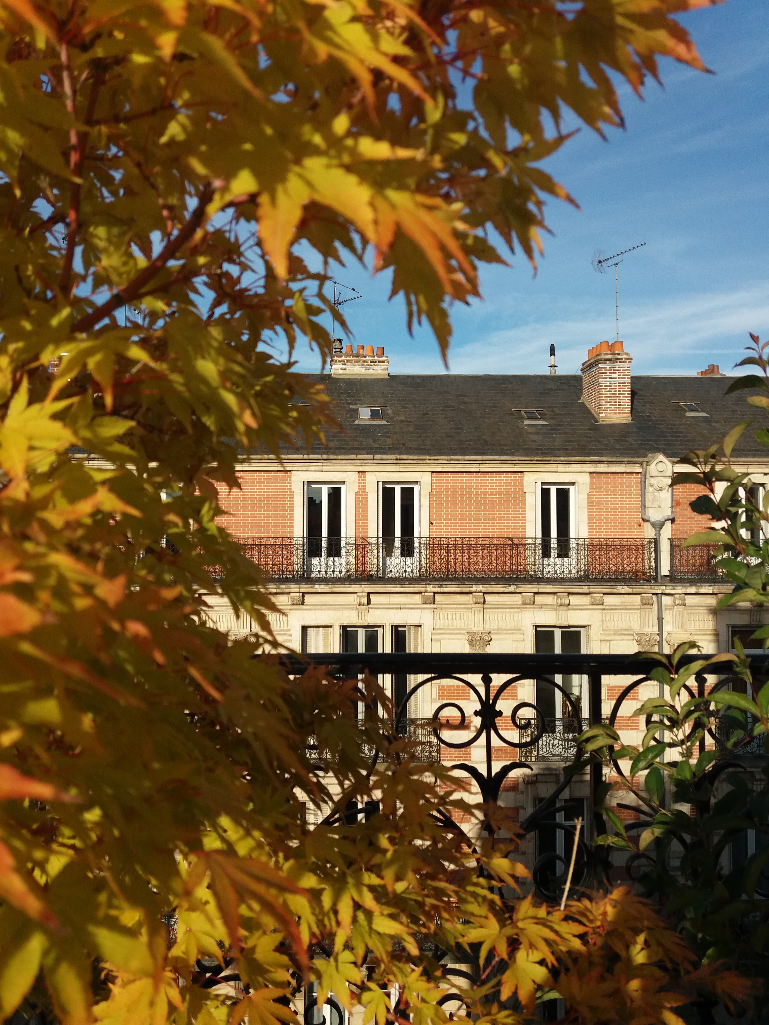 Photo n° 4 de l'avis de Angy. fait le 17/10/2021 à 11:53