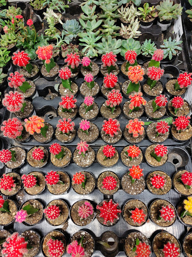 Home Improvement Store «The Home Depot», reviews and photos, 7200 W Colfax Ave, Lakewood, CO 80214, USA