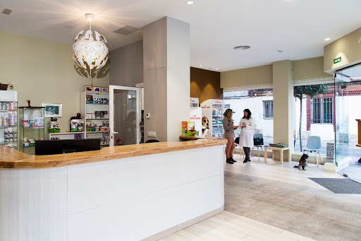 Hospital Veterinario 24 H en Valladolid
