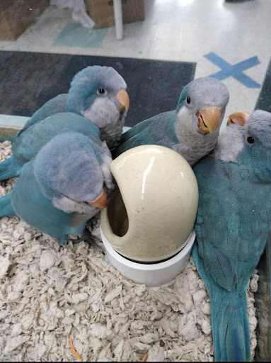 Pet Store «Leesburg Pet Center», reviews and photos, 959 N 14th St, Leesburg, FL 34748, USA