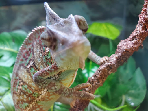 Pet Supply Store «Petco Animal Supplies», reviews and photos, 200 Center Blvd S, Christiana, DE 19702, USA