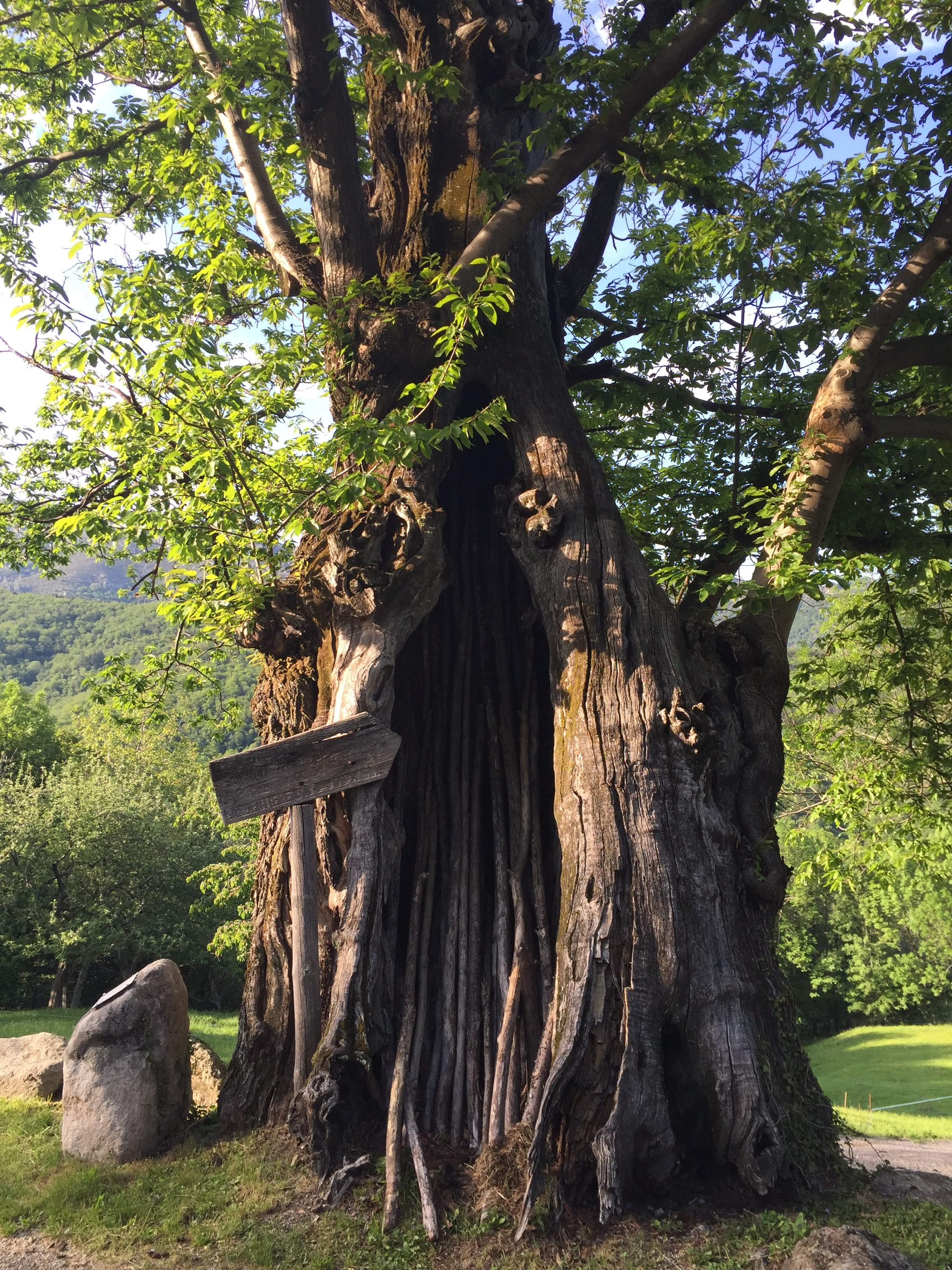 Photo n° 24 de l'avis de Catherine.o fait le 27/05/2019 à 05:25