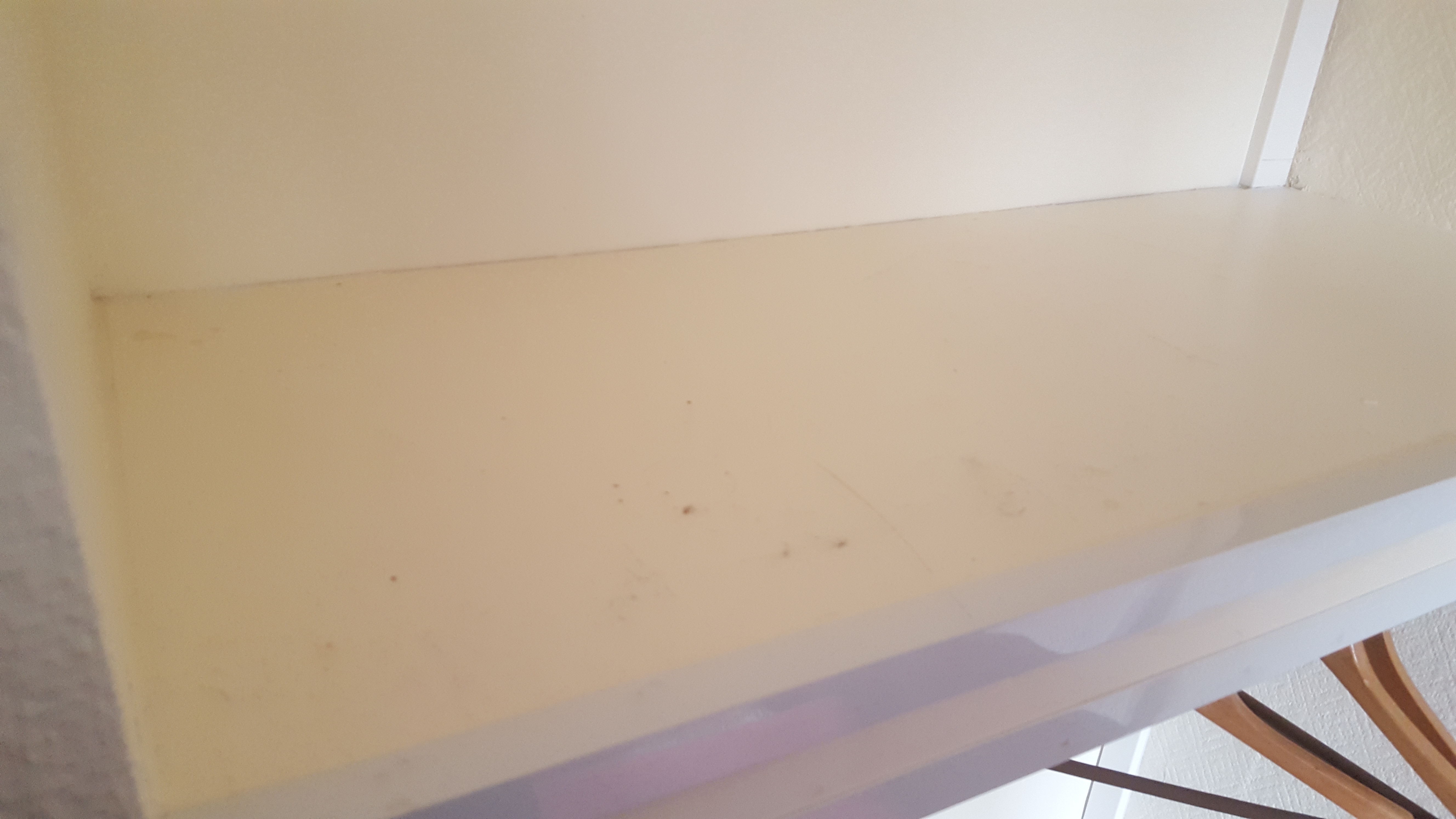 Photo n° 12 de l'avis de Konstantin.t fait le 22/03/2018 à 17:07