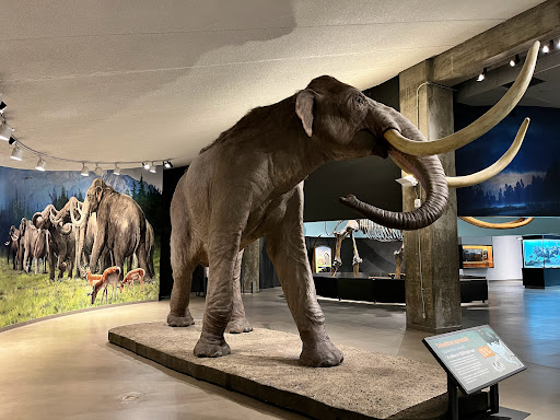 Museum «La Brea Tar Pits & Museum», reviews and photos, 5801 Wilshire Blvd, Los Angeles, CA 90036, USA