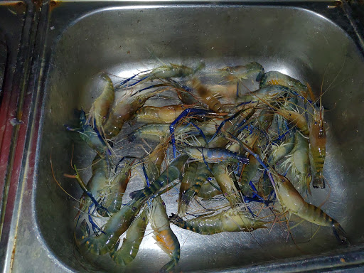 台中市豐原區美食 假日釣蝦休閑廣場 網友評價 菜單 推薦餐點 食記 外送優惠 飢餓黑熊app