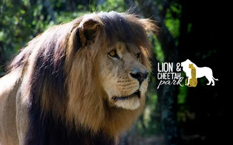 Lion Park Harare image