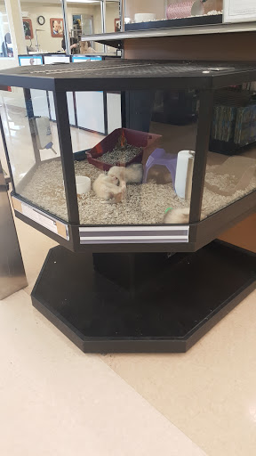 Pet Supply Store «Petco Animal Supplies», reviews and photos, 17200 Southcenter Pkwy #100, Tukwila, WA 98188, USA