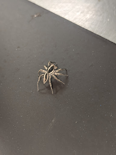 Home Improvement Store «The Home Depot», reviews and photos, 2359 FL-44, New Smyrna Beach, FL 32168, USA