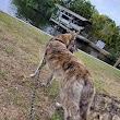 Davis Boat Ramp