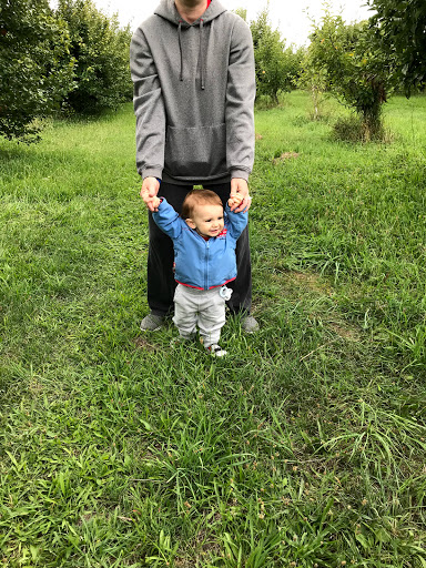 Produce Market «Brookwood Fruit Farm», reviews and photos, 7845 Bordman Rd, Almont, MI 48003, USA