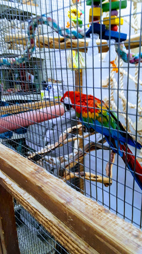 Pet Store «Fin-N-Feather», reviews and photos, 2931 F St, Eureka, CA 95501, USA