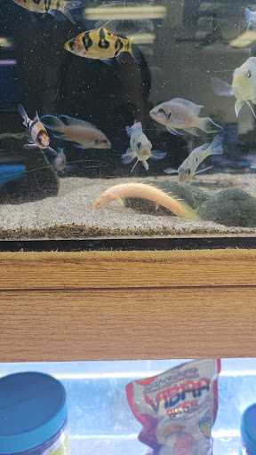 Tropical Fish Store «Ocean Design Aquarium», reviews and photos, 7542 W Addison St, Chicago, IL 60634, USA