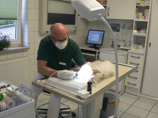 Dr.med.vet. Reiner Horn veterinarian unter Erfurt, 