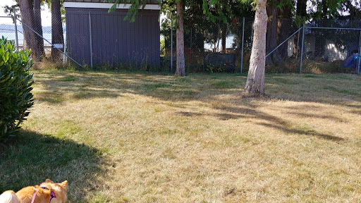 Park «Lundeen Park», reviews and photos, 10020 Lundeen Park Way, Lake Stevens, WA 98258, USA