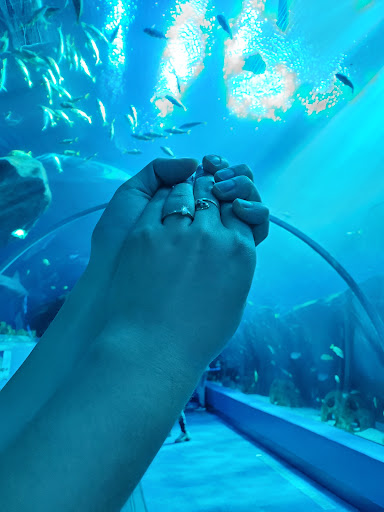 Jewelry Store «Midtown Jewelers, Inc.», reviews and photos, 11990 Market St D, Reston, VA 20190, USA