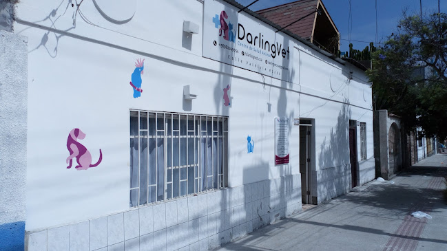 Opiniones de Centro de Salud Animal en Antofagasta - Veterinario