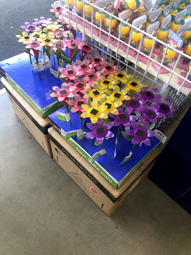 Dollar Store «Dollar Tree», reviews and photos, 5680 Central Florida Pkwy, Orlando, FL 32821, USA